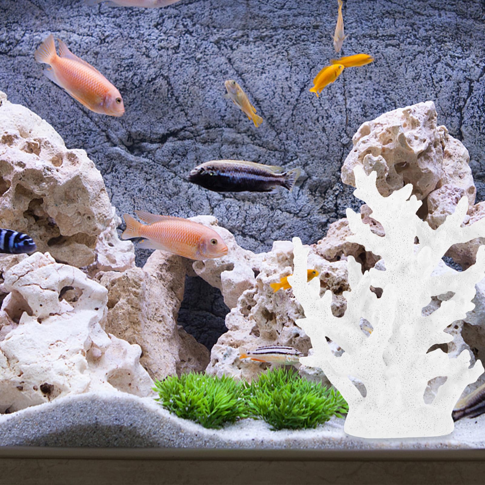 YARNOW Künstliche Koralle aus Kunstharz Leichte und Wasserresistente Aquarium Dekoration für Fischbecken und Meerwasser Aquarien als Realistische Korallendekoration