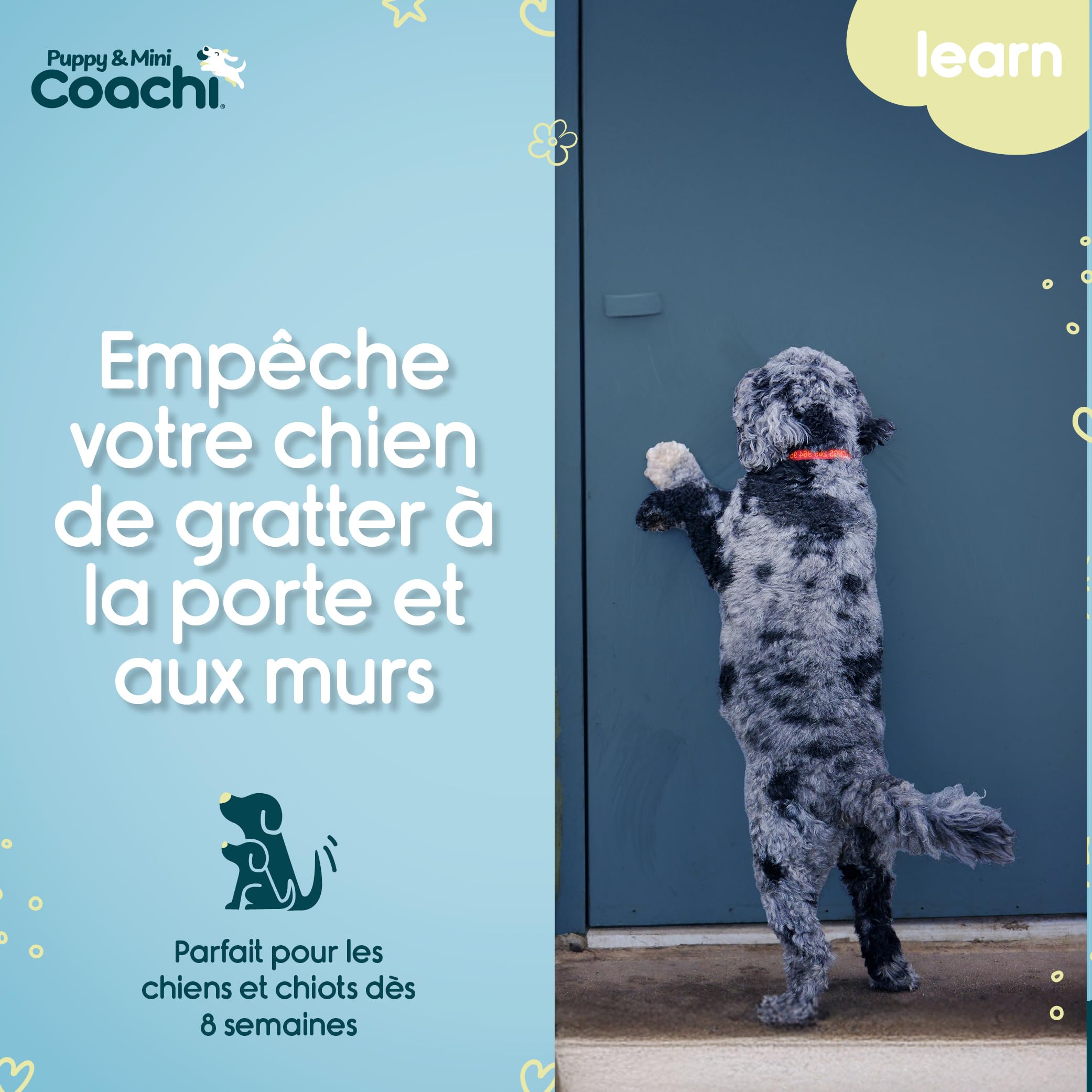 Coachi Toilet Training Bells pour Chiots et Nouveaux Chiens. Éducation à la Maison, Stop grattements aux Portes, faciles à Utiliser et Entendre, réglable. Accessoire idéal pour Dressage au clicker