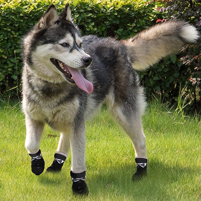 Foto 7 de 7 de PETLOFT 4 Piezas Calcetines Antideslizantes para Perros, Interiores Ajustables Calcetines Antideslizantes