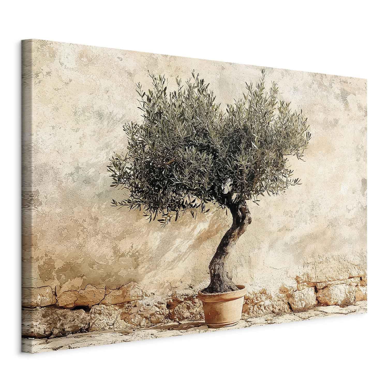 murando - Tableau decoration murale 120x80 cm - Impression sur toile avec cadre – Art décoratif moderne maison salon chambre - Olivier sur un mur beige - Olivier sur un fond rustique b-H-10235-b-a