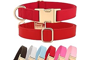Red Dog Collar for Medium Dogs