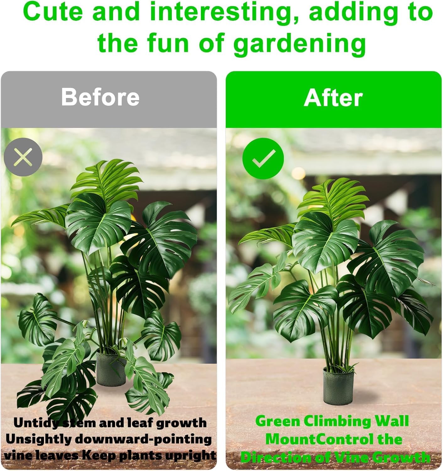 Support Pour Plantes Grimpantes En Forme De Grenouille Mignon Et Stable Avec Clips De Fixation Pour Intérieur Ou Extérieur