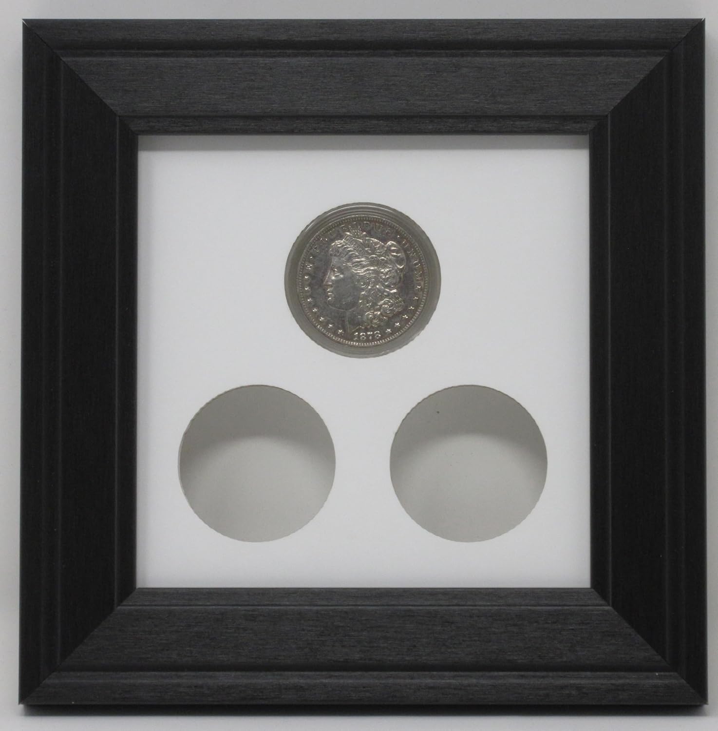 Morgan, Peace Dollar 3 Coin (Not Included) Wall Display Picture Frame Made in The USA