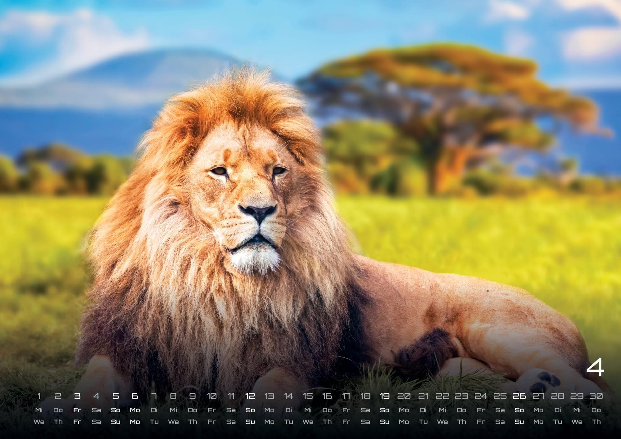 Afrikas Tierwelt - Der Tierkalender - 2026 - Kalender DIN A2: Der Wandkalender mit den schönsten Motiven Afrikas Tierwelt für das Jahr 2026 im extragroßen Format DIN A2 (ca. 60 x 42 cm)!