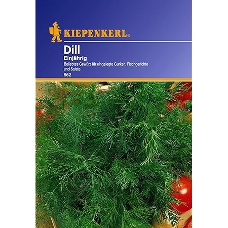 Kiepenkerl, Dill Einjährig