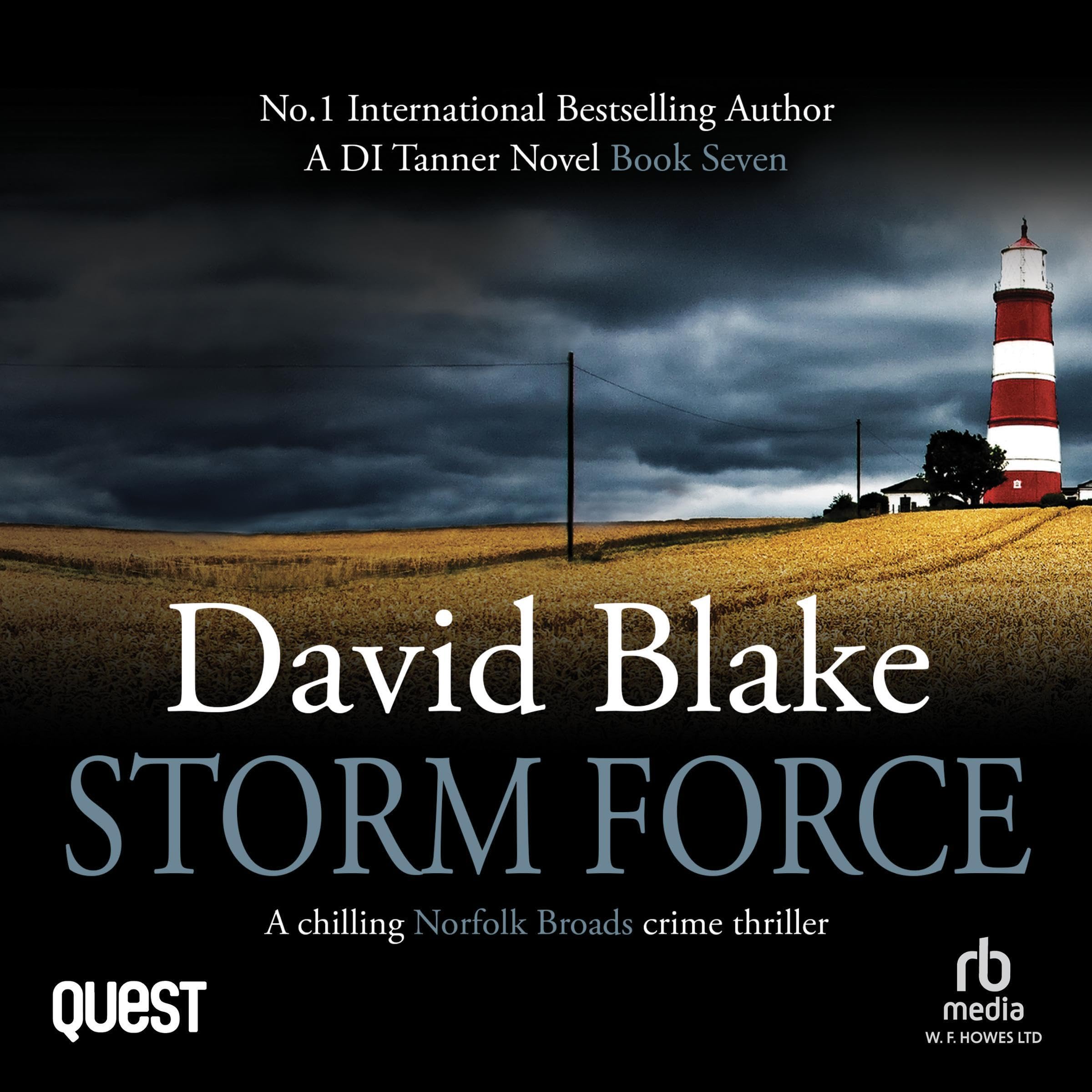 Cover art for Storm Force