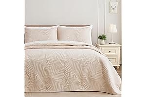 Exclusivo Mezcla Queen Size Quilt Bedding Set - A Delightful Embellishment for Your Bedroom
