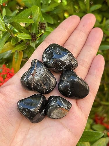 Miniatura 5 de GAF TREASURES Piedras pulidas de ónix negro al por mayor, piedra preciosa de ónix negro natural pulido, ónix negro pulido rocas (ónix negro, 1 libra)