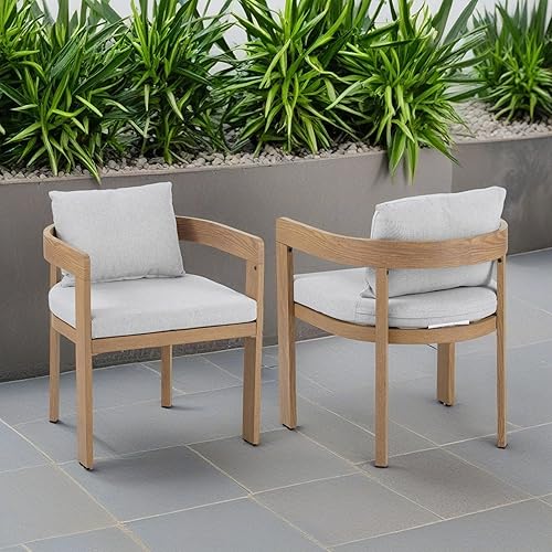 Aluminum Dining Chair Set of 2, Armchairs with Cushions, Barrel