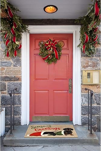 Miniatura 13 de Liora Manne - Alfombra de entrada para interior/exterior, 2 pies 6 pulgadas x 4 pies, Sandy & Bright 3 Perros Navidad,Casa de vacaciones,Perros de