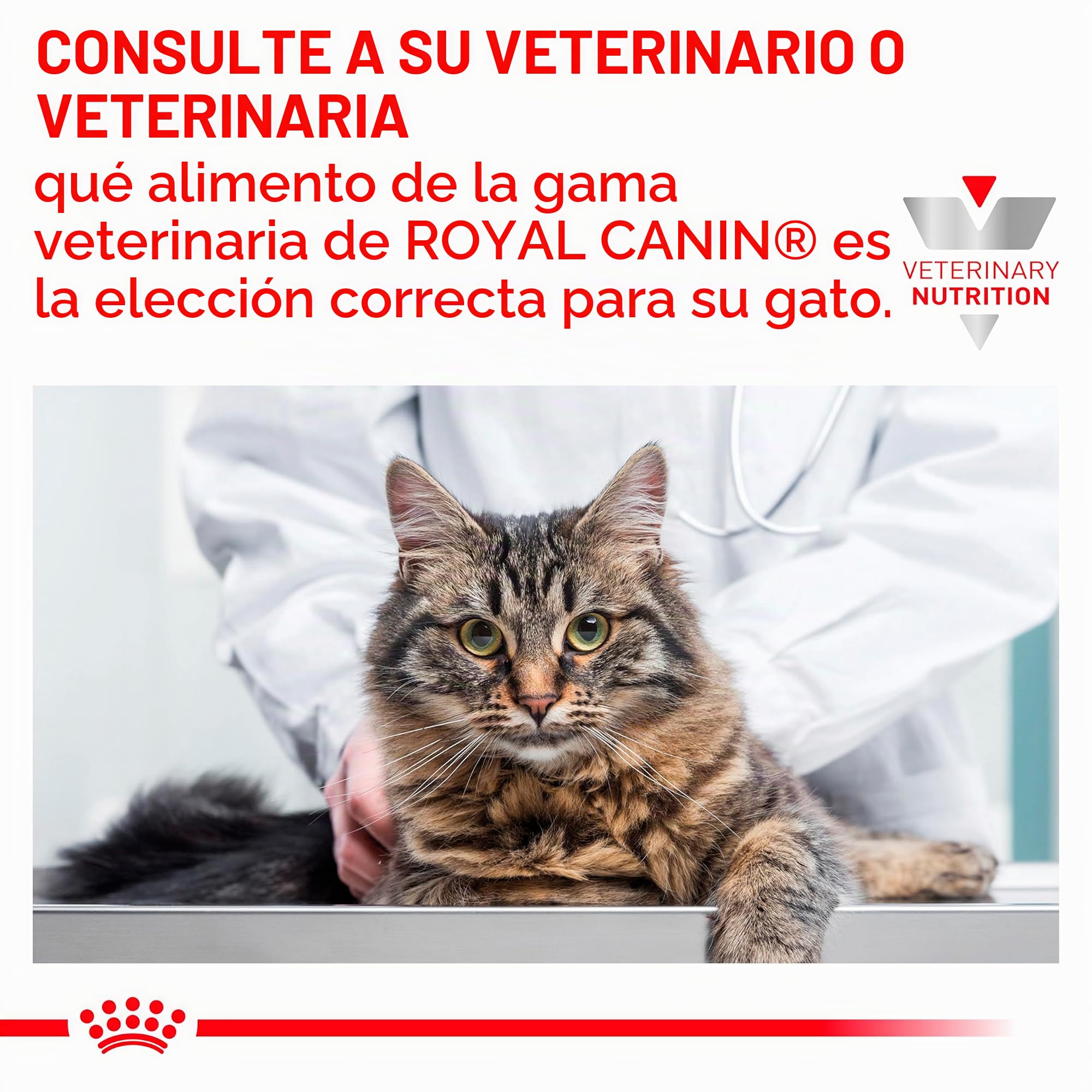 Royal Canin Veterinary Gastrointestinal Moderate Calorie | 4 kg | Comida Seca para Gatos | Puede Ayudar en trastornos gastrointestinales | Alta aceptación