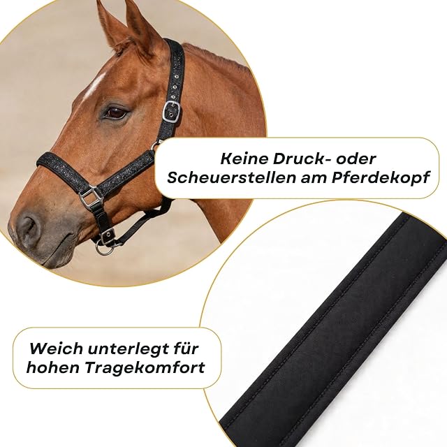 Foto 4 de 6 de Pferdelinis Cabestro para caballos con purpurina, cabestro acolchado, hebillas ajustables, pony, mazorca