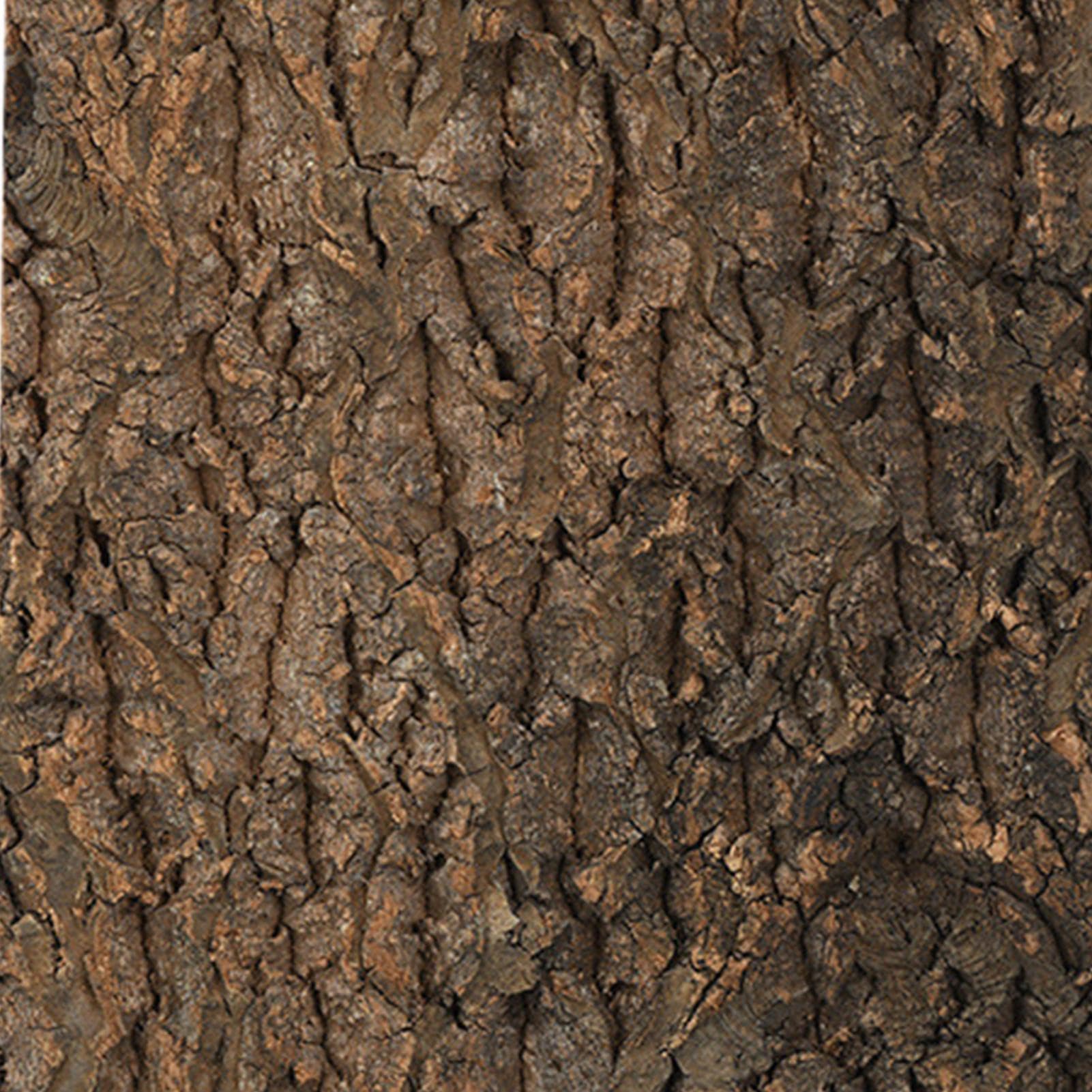Madera de corcho para reptiles, decoración de paisajismo para ejercicios de escalada, decoración de terrario natural, corteza de corcho, para serpiente, , camaleón, , tortuga, amantes de
