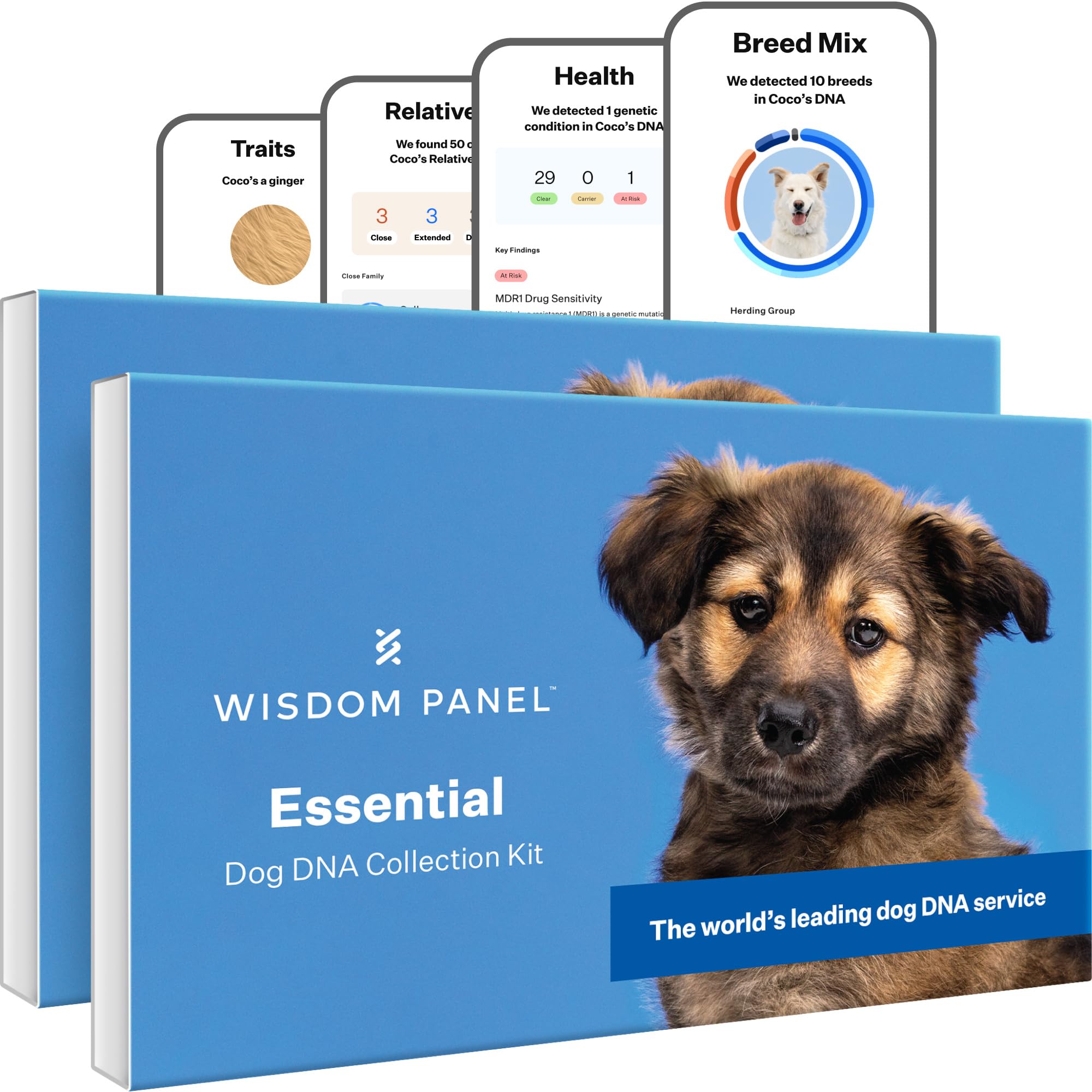 Wisdom Panel Essential Dog DNA Testing Kit