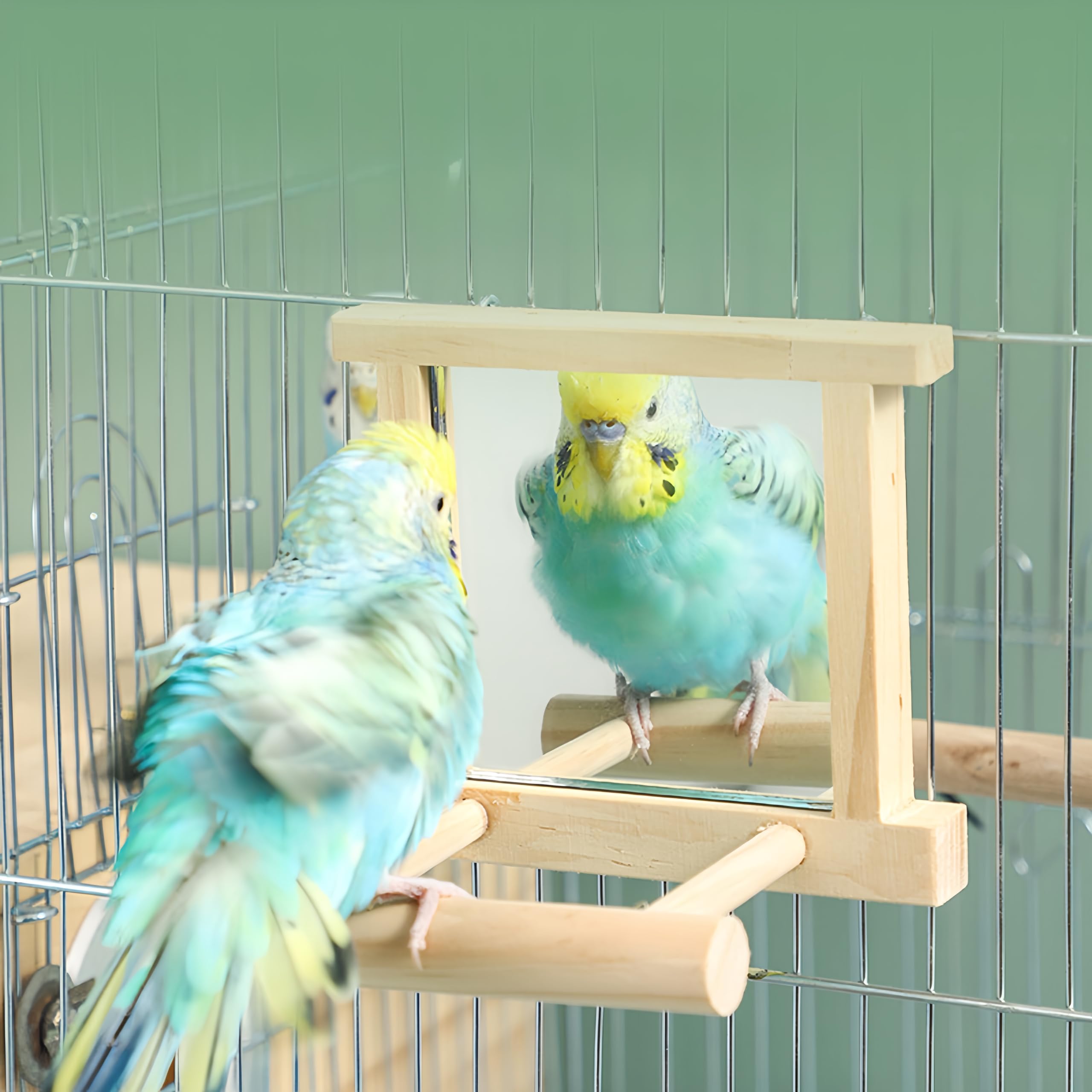 HANZE Soporte para pájaros de madera natural con espejo, columpio de colibrí, perca y accesorio de juego, paquete de 2
