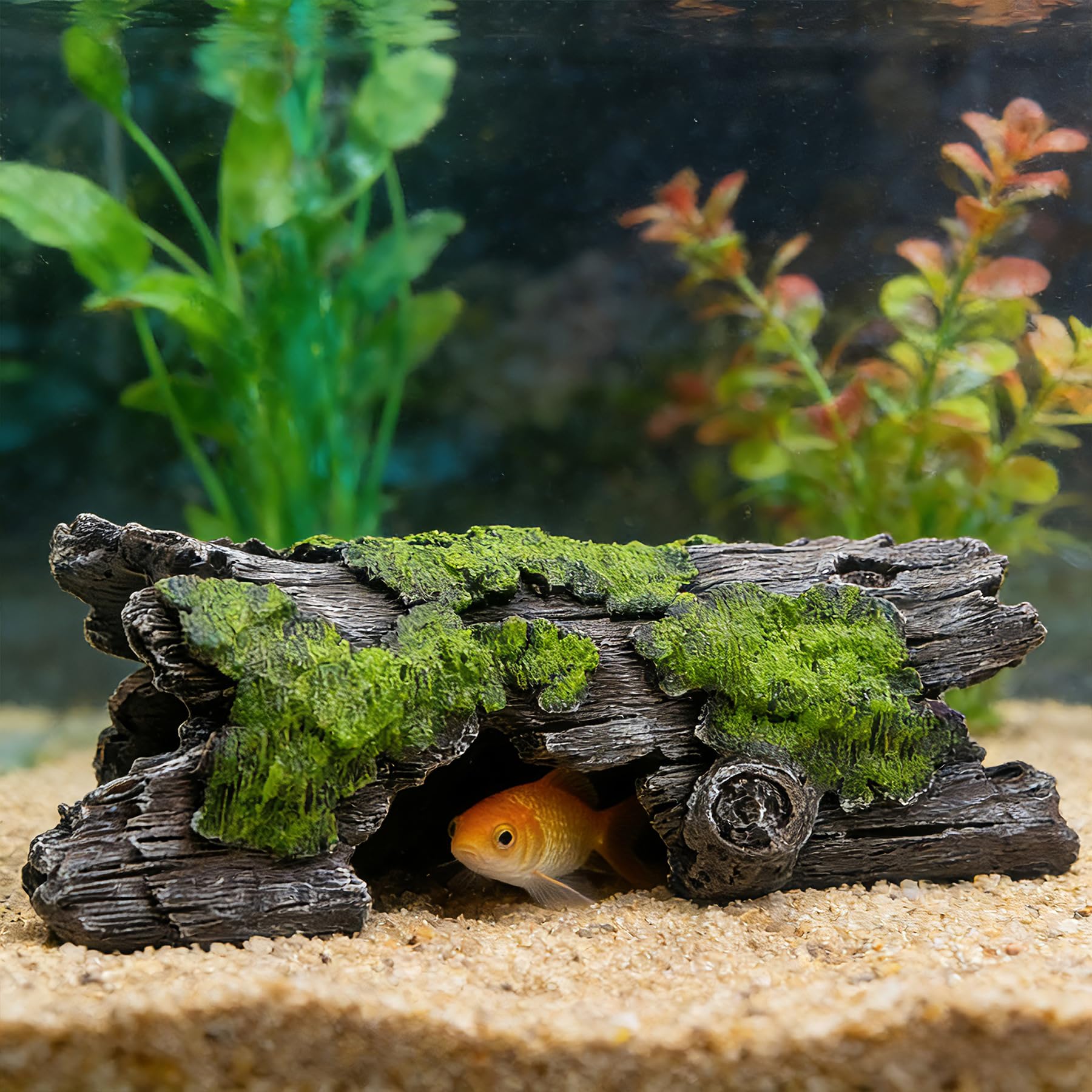 Teaeeno Faux Log Fish Cave, Predator Control and Decorative Shelter for Koi and Fish, Ponds, Aquariums, and Terrariums (Green)
