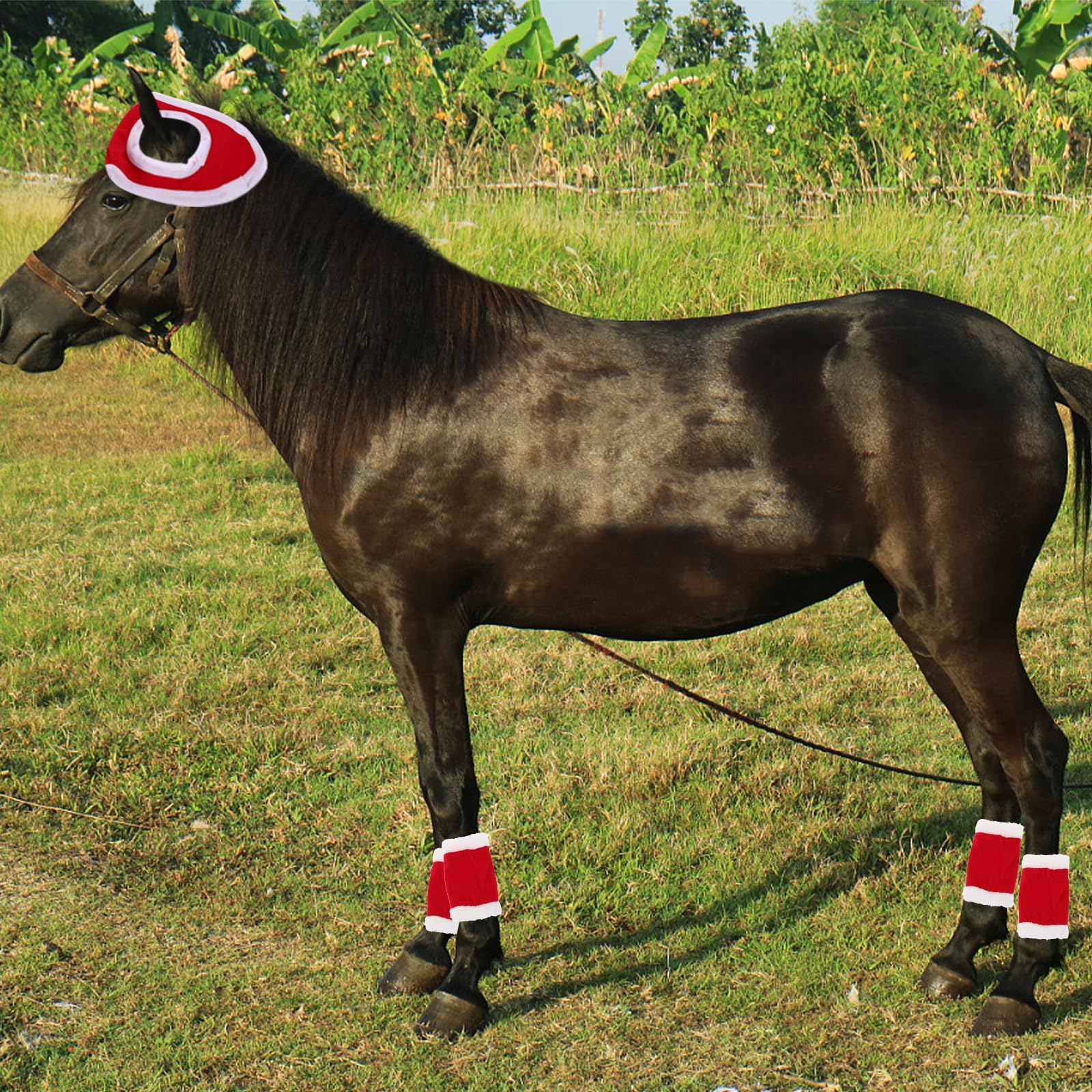 Toyvian Set de Accesorios para Disfraz de Caballo Navideño en Terciopelo Rojo Protectores de Patas, Sistema de Hebillas, Fácil Instalación para Ambientación de Fiestas de Navidad