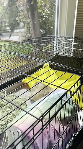 Amazon | Amazonベーシック 漏れ防止 ペットケージ 小動物 モルモット