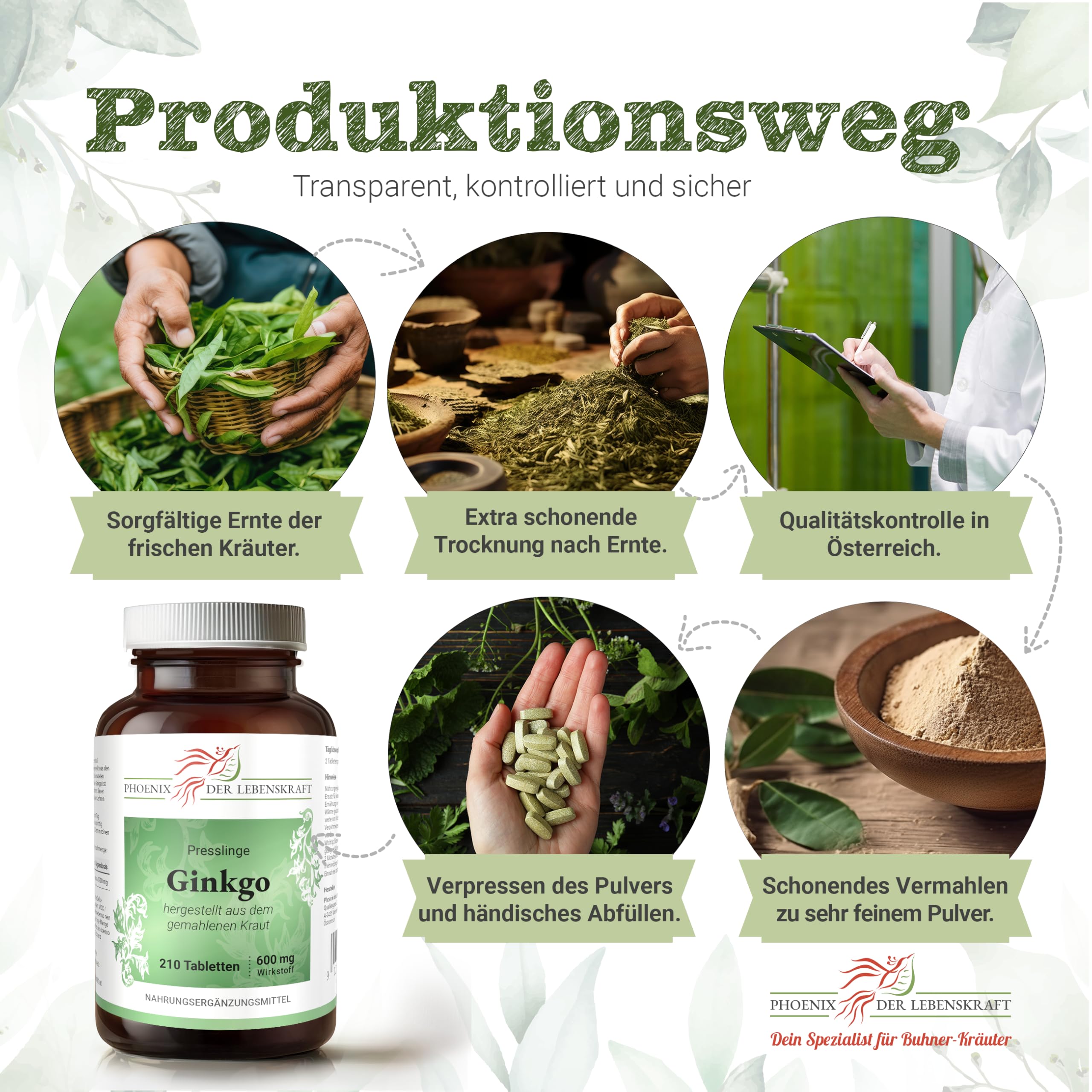 Ginkgo Tabletten 600 mg | 210 Tabletten mit Ginkgo biloba Blattpulver | Hergestellt in Österreich | Tabletten statt Kapseln, 600 mg pro Tablette | Japanischer Nussbaum, Fächerblattbaum, Tempelbaum