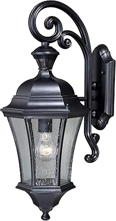 Aberdeen Black Motion Sensor Dusk to Dawn Outdoor Wall Light