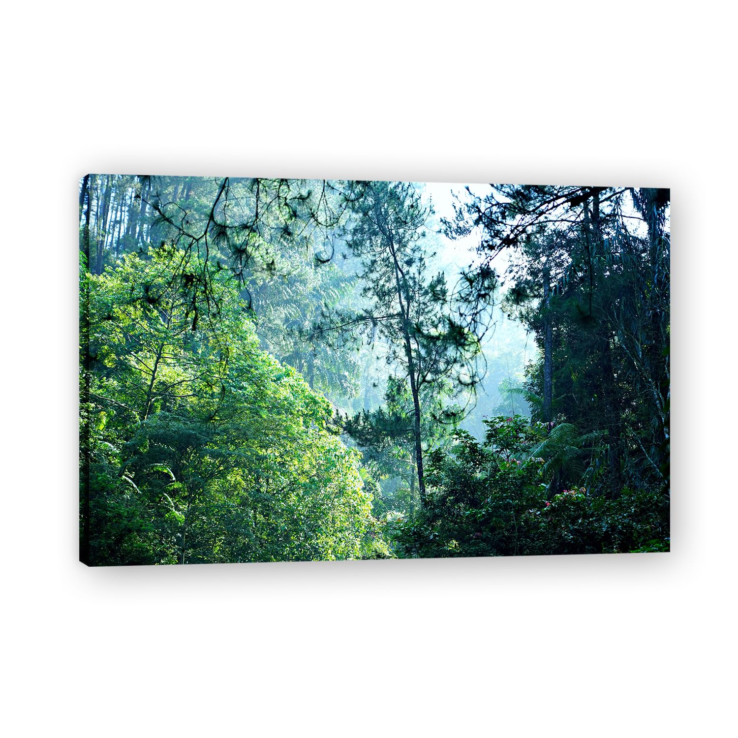 VHdfgTY Deep In The WoodsMountain Landscape Canvas Wall Art Nature Scenery Wall Decor for Home 50x75cm Framed