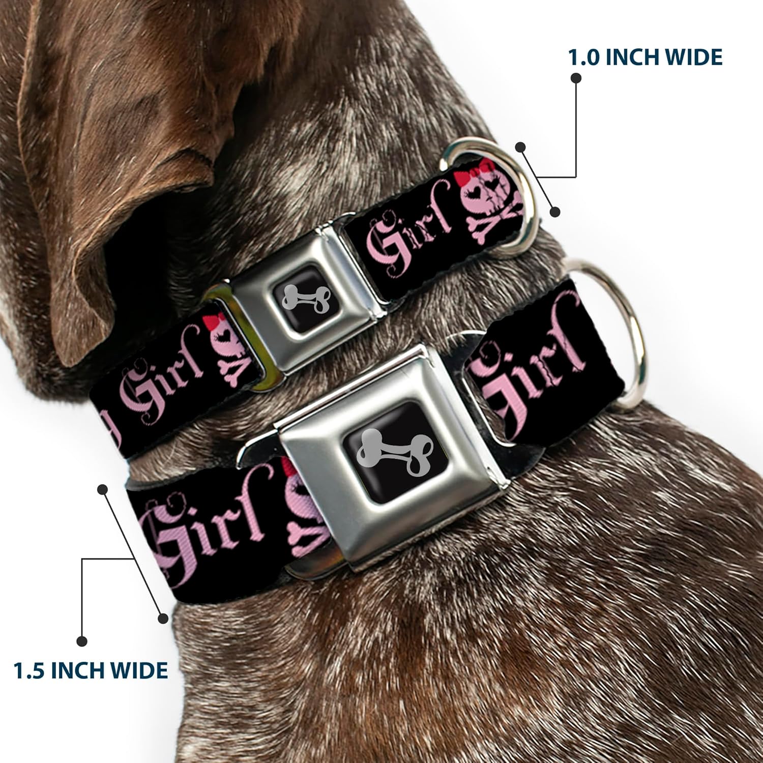 Buckle-Down Seatbelt Buckle Dog Collar - Angry Girl Black/Pink - 1" Wide - Fits 11-17" Neck - Medium