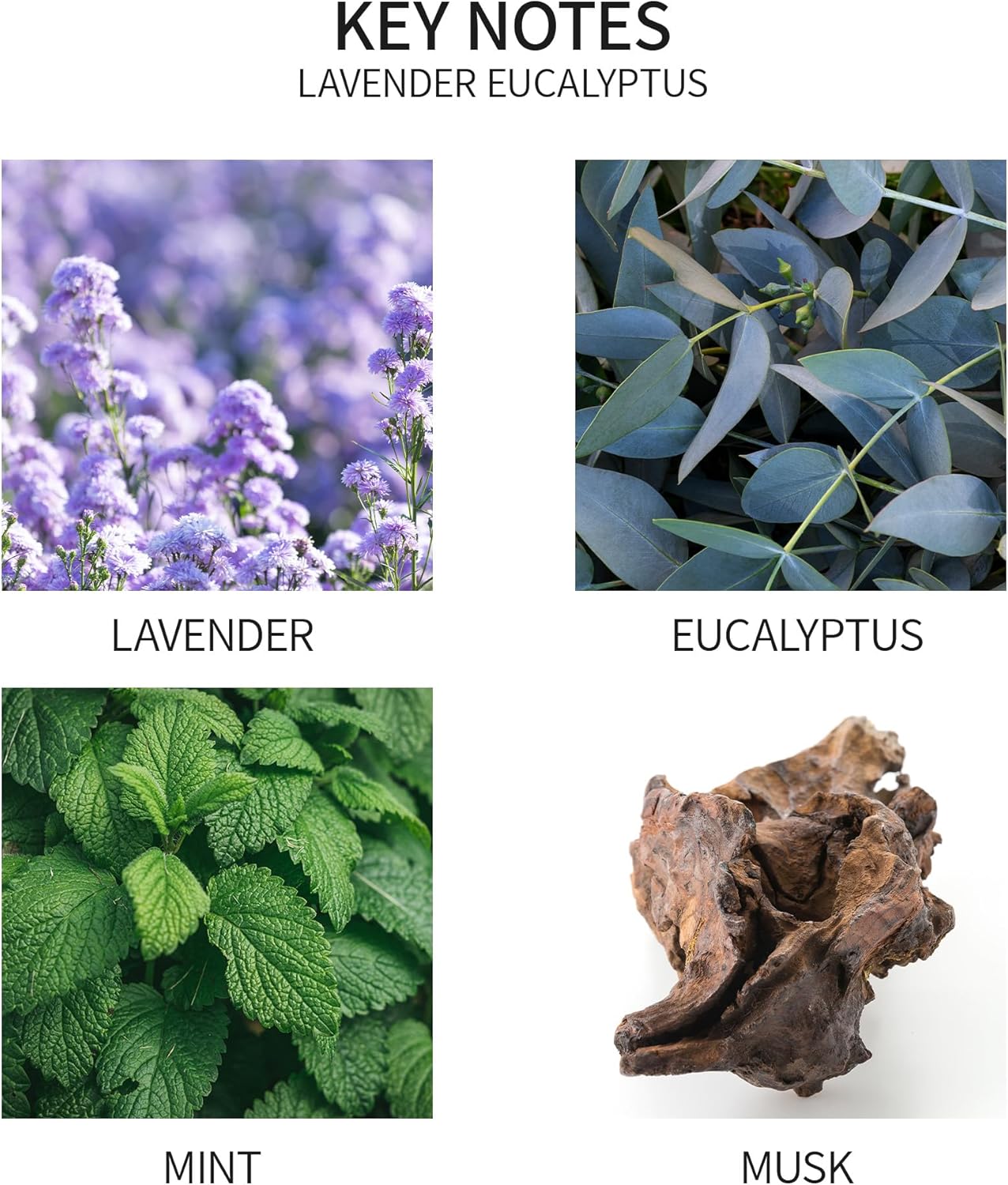 Airkeep Reed Diffuser Oil Refill with Diffuser Sticks, 6.76 Fl Oz(200ml) Lavender Eucalyptus Cotton Scented Oils, Aroma Therapy, Home Fragrance & Air Freshener, Office Décor, Decoration - Image 2