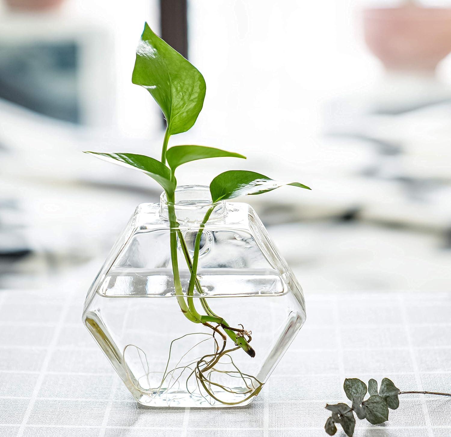 Kingbuy Glass Wall Vase Large Cylinder + Medium Hexagon Shape Glass Planters for Indoor Plants Flowers Home Office Christmas Decor