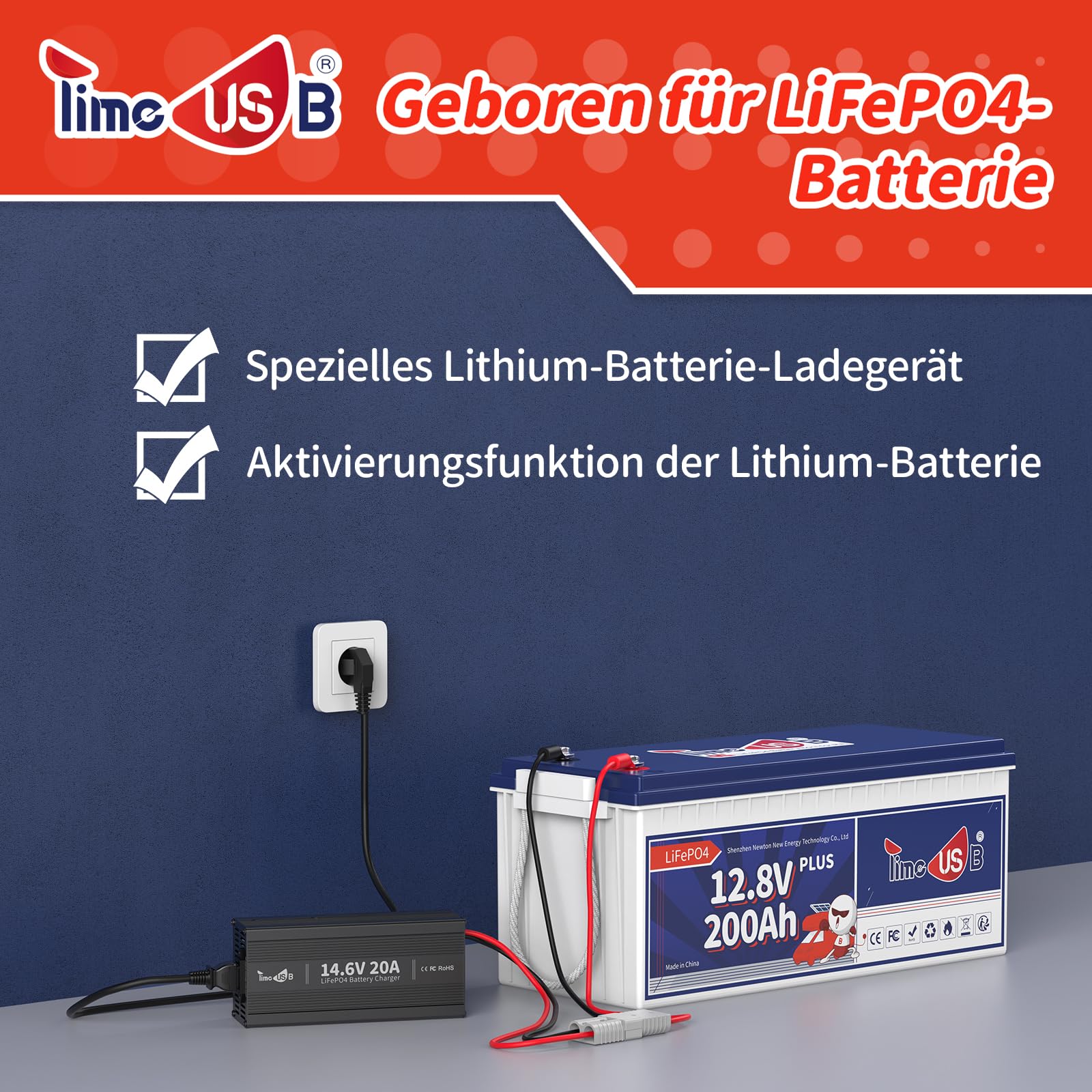 Timeusb LiFePO4 ladegerät 14,6V 20A Batterieladegerät 12V für Lithium-Eisenphosphat-Batterie, Schnelles Aufladen LiFePO4 Akku-Ladegerät mit Erhaltungsladefunktionen Kompaktes Design mit vollem Schutz