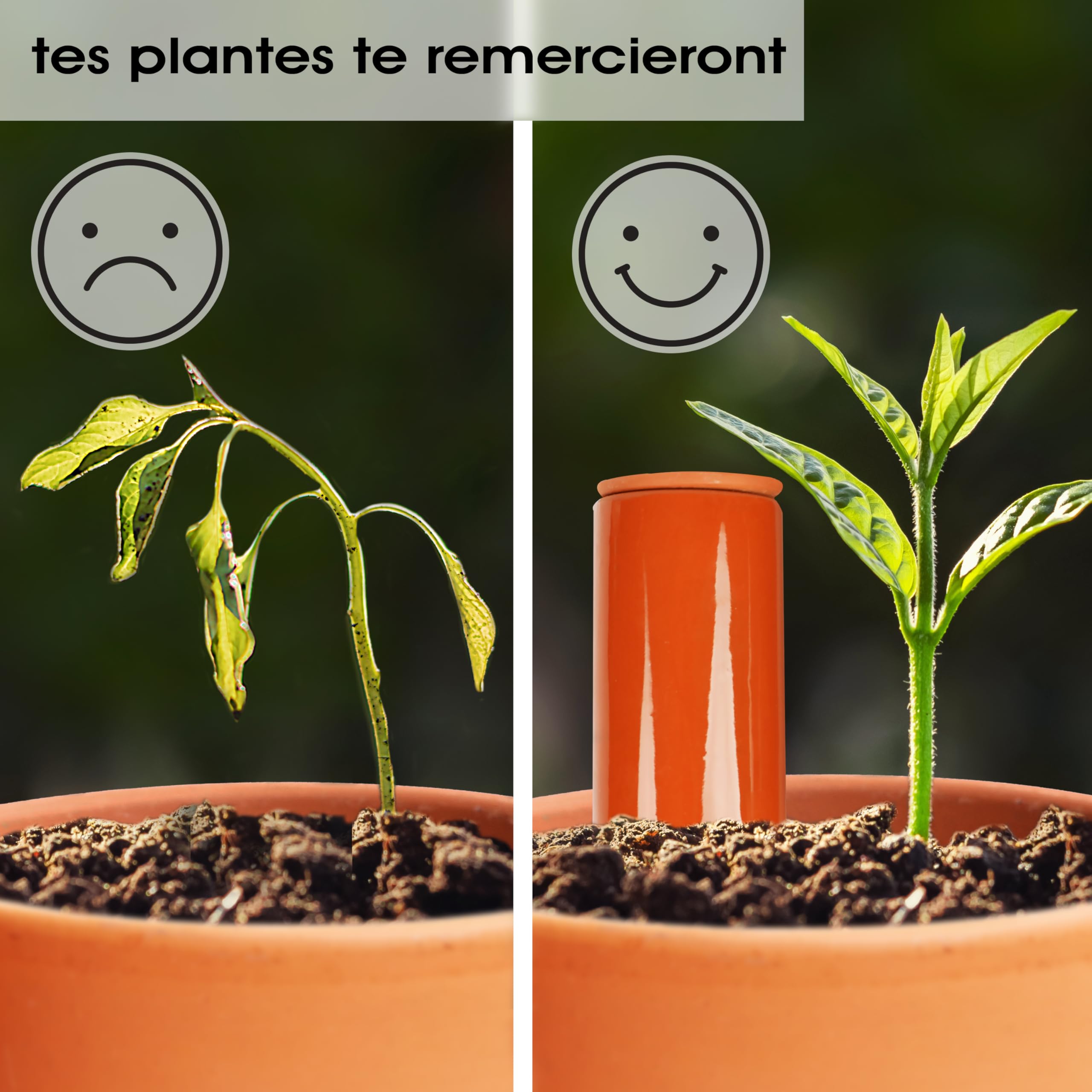 Arrosoir en terre cuite (2 x 530 ml) fait à la main pour arroser les plantes d'intérieur | Indicateur de niveau d'eau pour plantes | Watering can | Arrosoir pour plantes d'intérieur