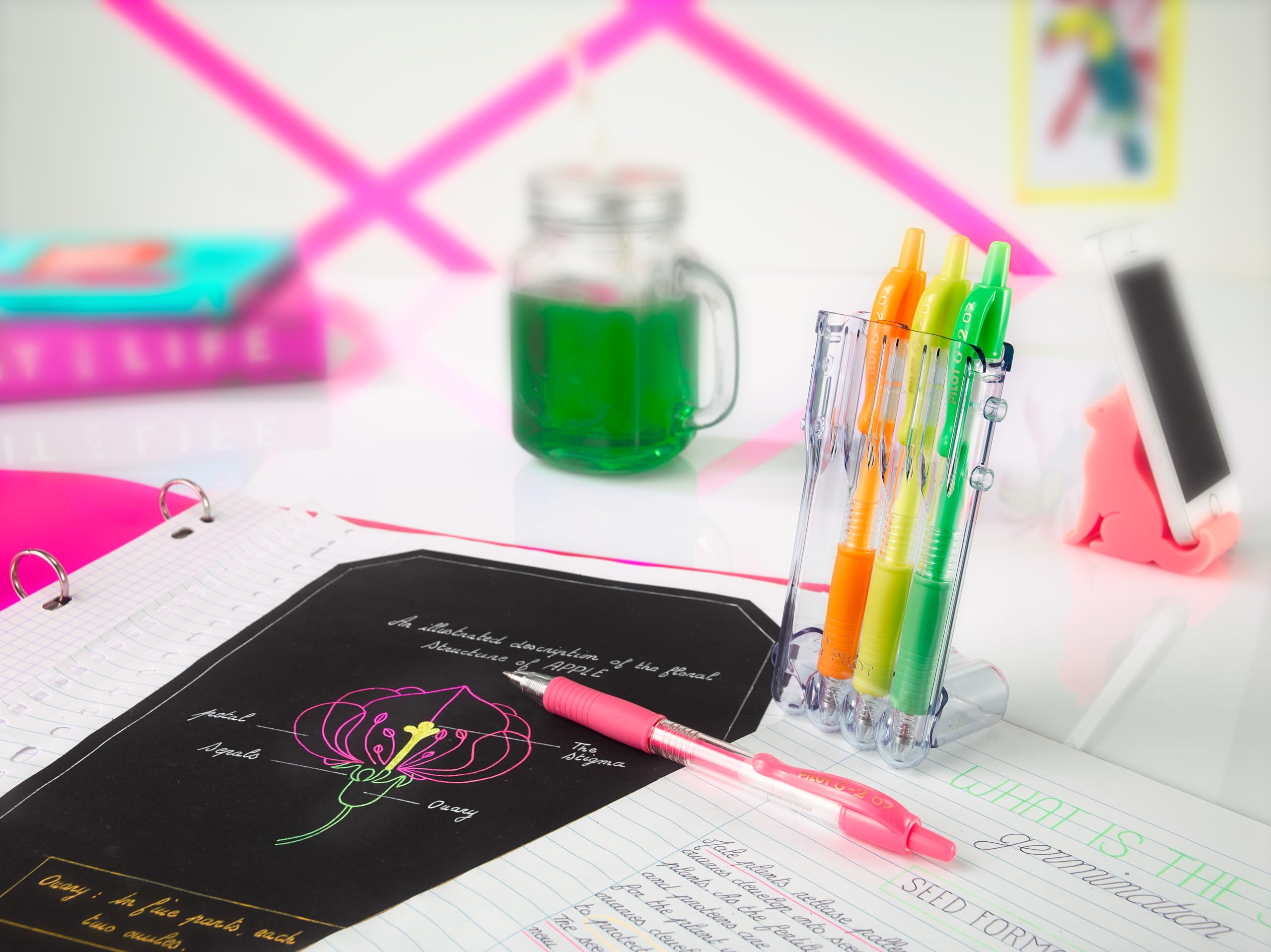 Pilot G2-07 Penna A Sfera Con Inchiostro Gel – Rosa E Blu – 0,7 Mm – Scrittura Morbida – Confezione Da 1, 3, 5 O 12