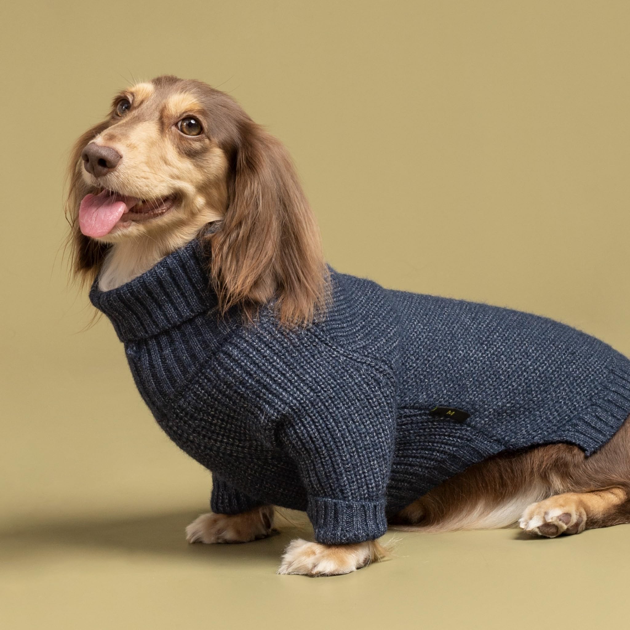 Fitwarm Pull en tricot à col roulé pour chien, vêtements d'hiver thermiques pour chiens de petite taille, garçon et fille, pull confortable pour chiens, pull pour chien, tenue pour animal de