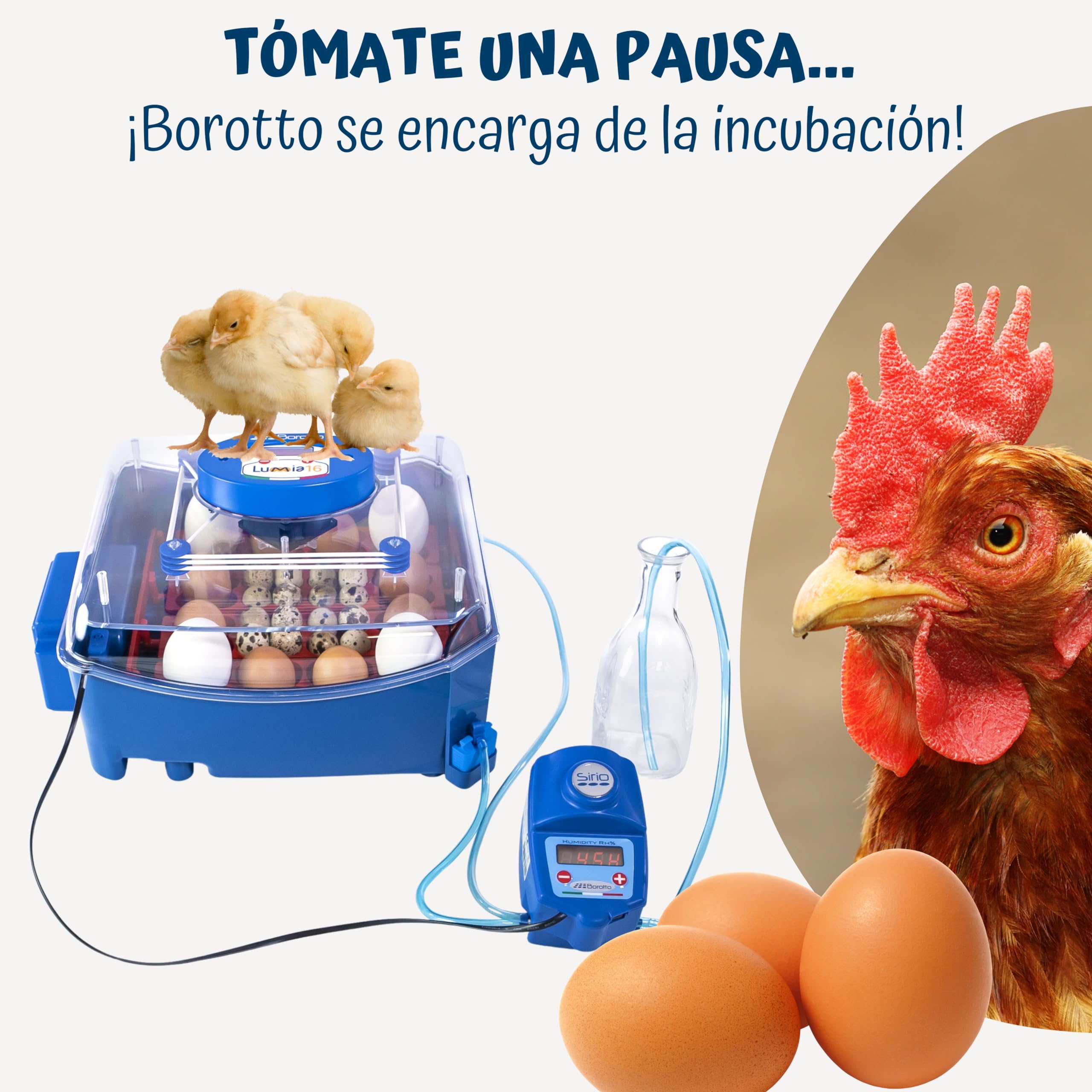Borotto Lumia 16 Expert | Incubadora de Huevos Automática Profesional Patentada 16 Huevos o 64 Pequeños con Volteador de Huevos Automático, Control de Temperatura, Humidificador Sirio | Made in Italy