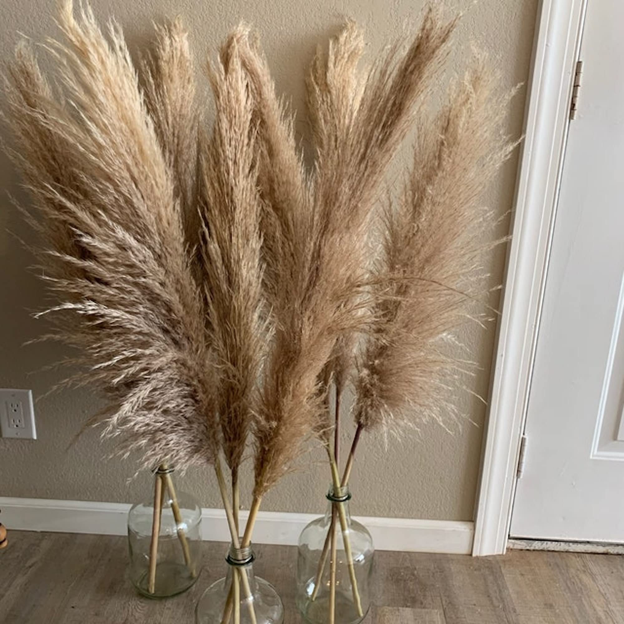 3 stems Extra Large Dried Pampas Grass 48" For Interior Decor Buy