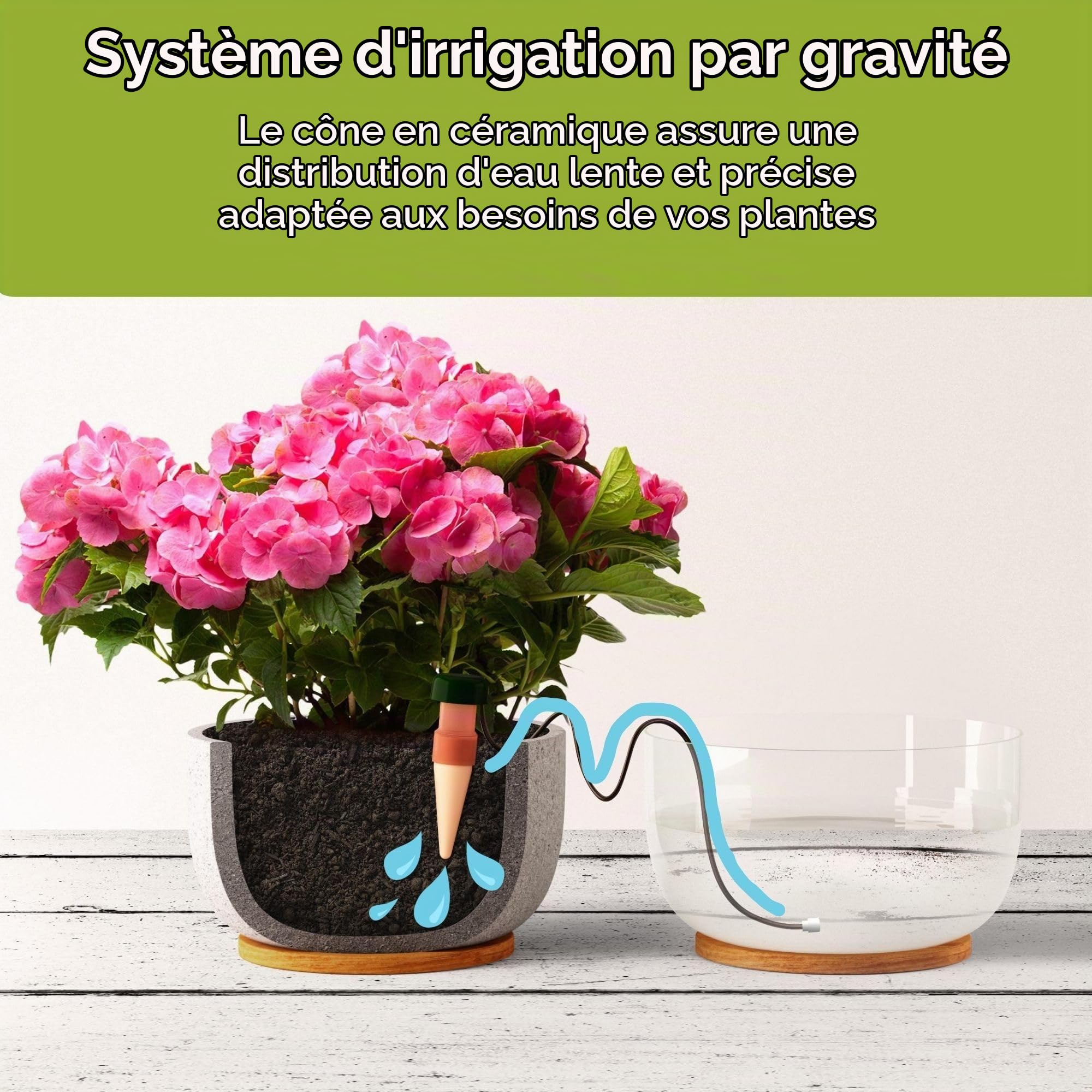Blumat Classic Piques d'arrosage - Système d'arrosage automatique pour pots - Accessoire pour plantes et arroseur automatique (Lot de 25)