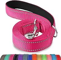 Joytale 6FT Reflective Dog Leash - Double-Sided Glow, Padded Handle, Heavy Duty Nylon for Medium Large Dogs, Hot Pink