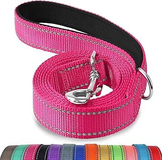 Joytale Hundeleine Kleine Hunde Leicht, Doppelseitig Reflektierende Leine Hund aus Nylon mit Gepolstertem Griff, 1,8m x 2cm, Hotpink