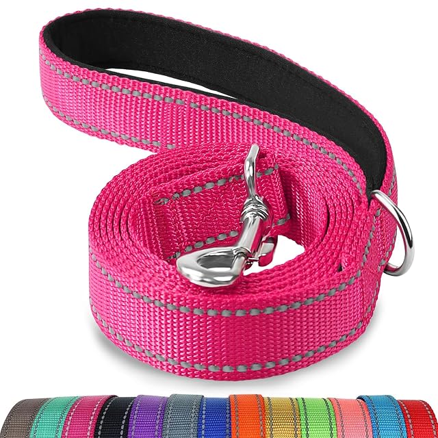 Joytale Correa para Perro Reflectante de Doble Cara, Correa para Perros con Mango Acolchado