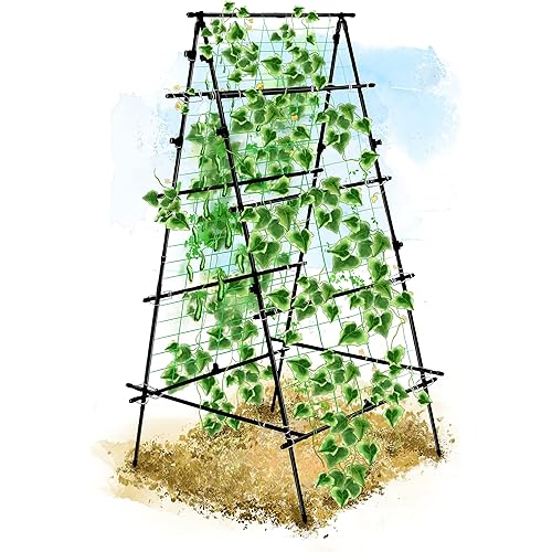 Garden Trellis for Climbing Plants Outdoor, 6 ft Tall, A Frame for Climbing Vines Cucumbers Beans Vegetables Raised Bed - Lightweight Metal, Black