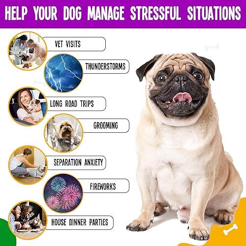 Miniatura 4 de True Tails Masticables calmantes para perros  90 golosinas calmantes para perros con melatonina, raíz de valeriana, aceite de cáñamo para calmar