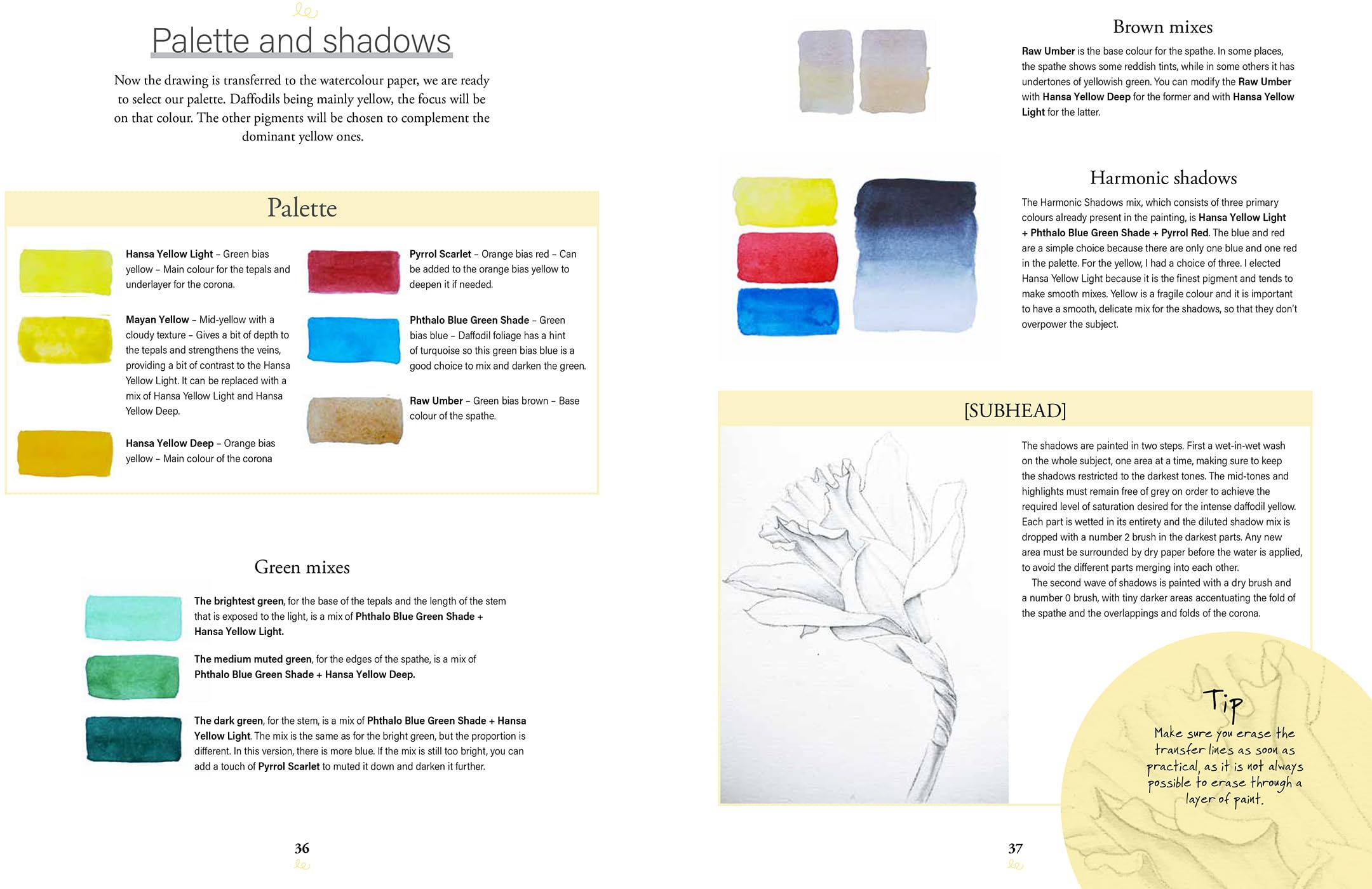 Botanical Watercolours through the seasons: An All-year-round Guide to Painting Flowers and Plants