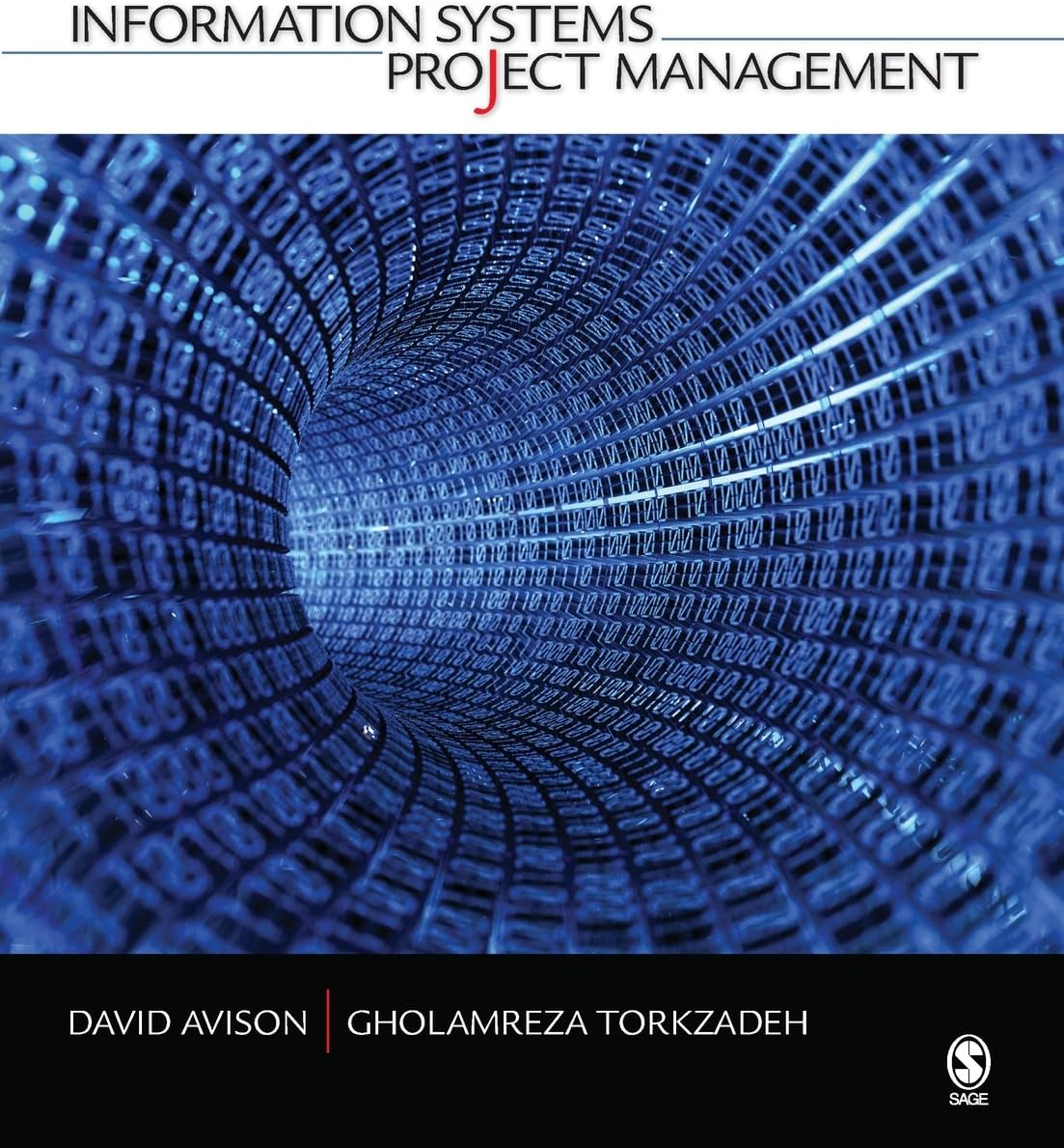 Information Systems Project Management