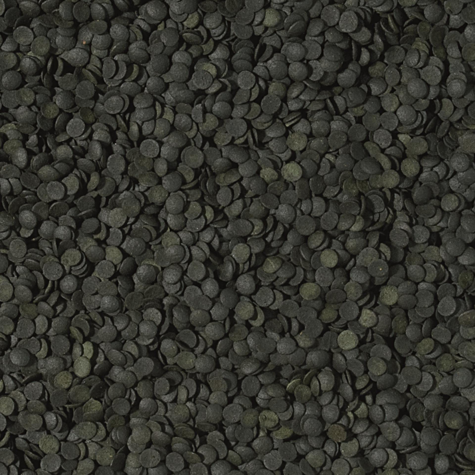 Tropical Super SPIRULINA Forte Chips 5L / 2,6kg - Alimento para Peces en Forma de Chips para Peces con Altas Necesidades nutricionales