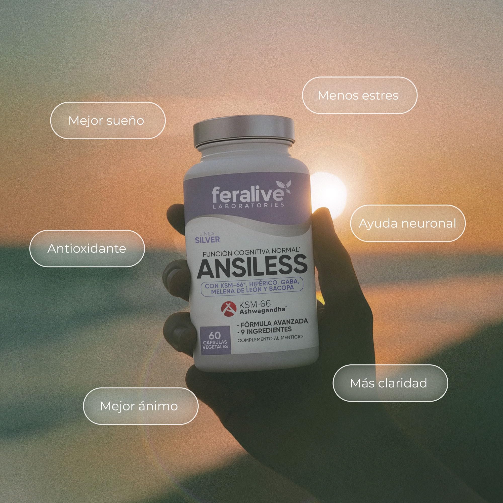Ansiless 60 Cápsulas – Ashwagandha KSM-66® + Hipérico + GABA + Melena de León – Suplemento para Función Cognitiva, Estrés y Concentración Mental