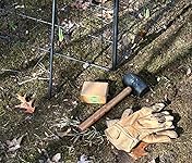 Review Image by JasHay