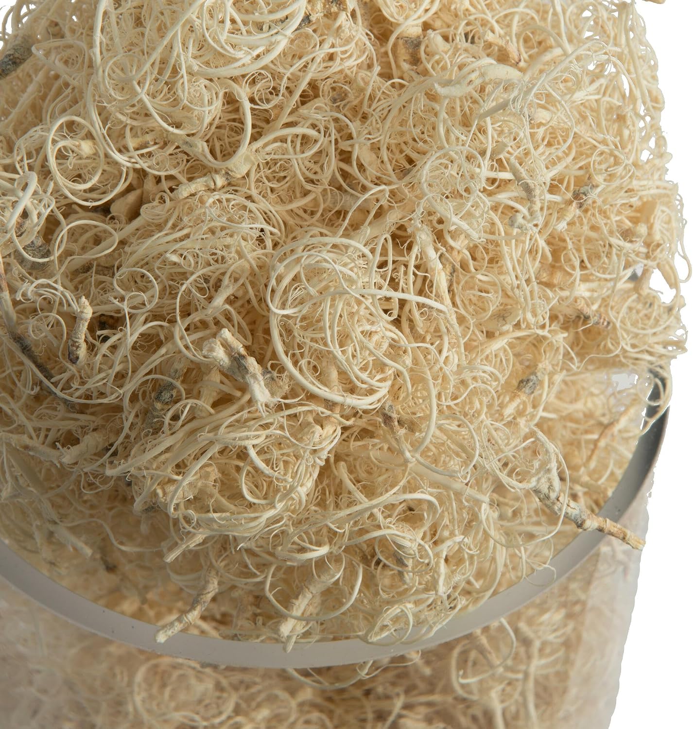 Vickerman Natural Botanicals Curly Moss, Bleached. Includes 2.2 Lbs per Pack