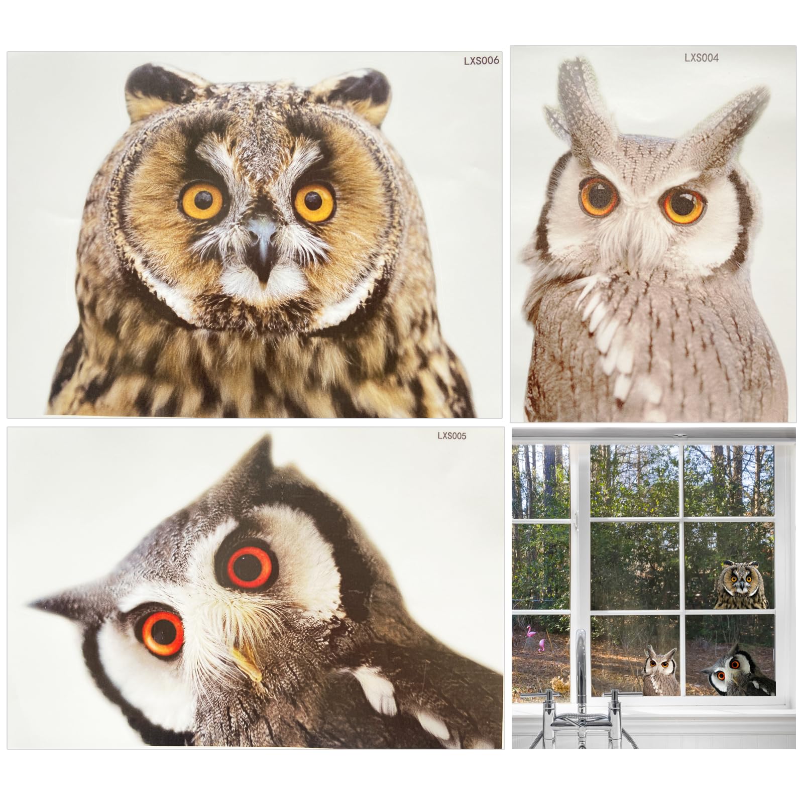 ROLY BEE 3 Pieces 3D Windows Stickers Realistic owl Gaze Stickers/Decals
