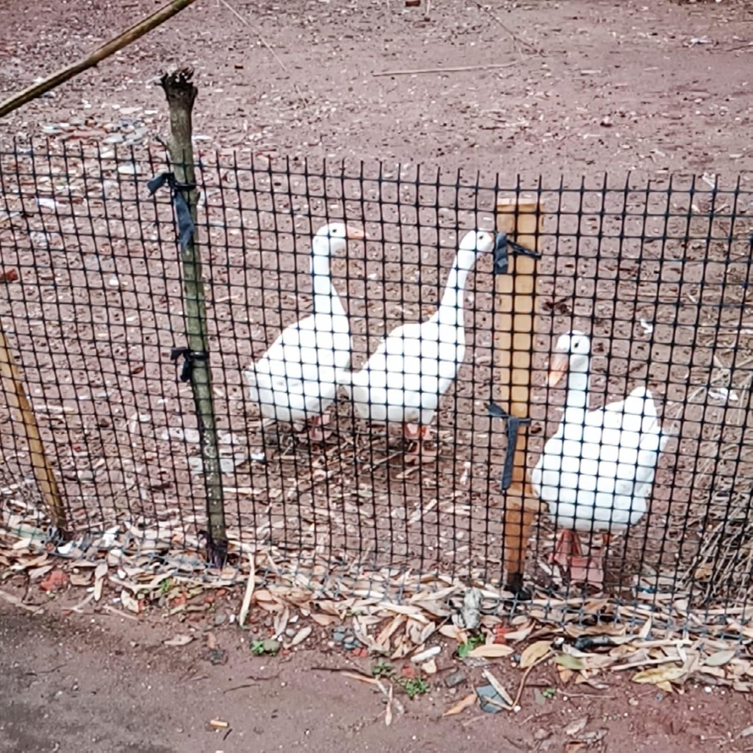 Clôture de jardin en plastique épais de 2,3 mm maille premium 30mm