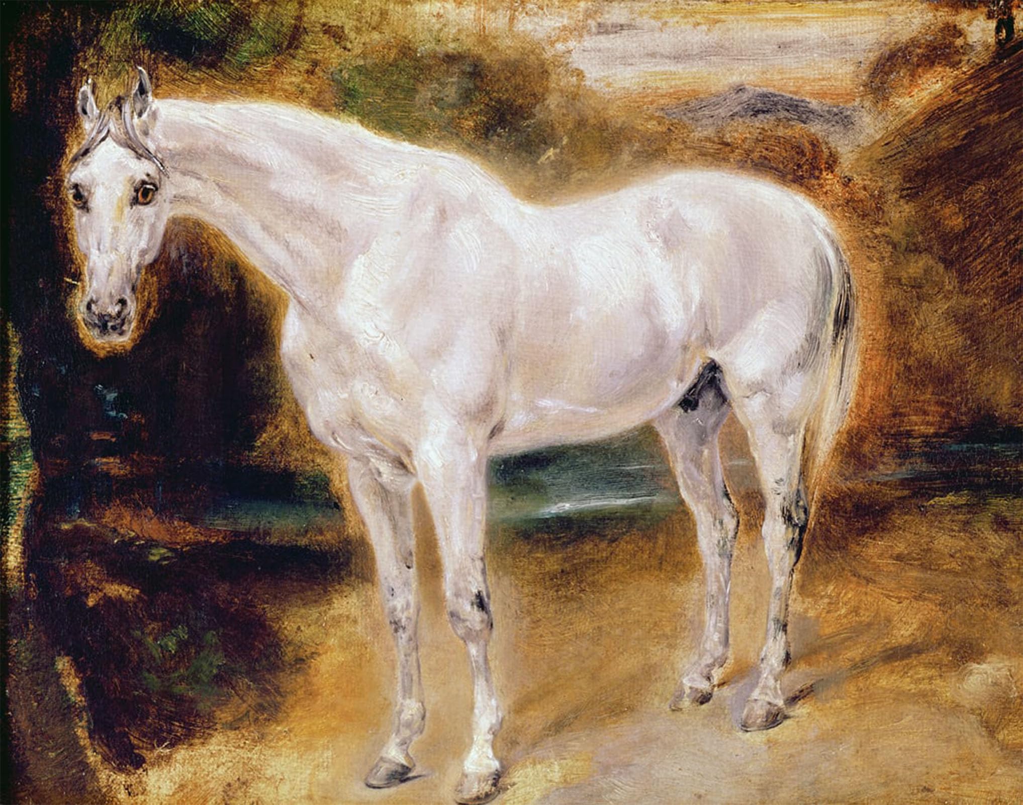 Artxlxxbn No Frame Famous Art Print Poster Vintage Wall Art White Horse By Ferdinandeugene Delacroix Canvas Art Poster For Home Decor 60X90cm