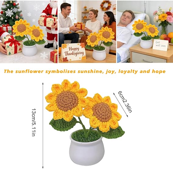 Sunflower Gift for Women, Emotional Support Plant